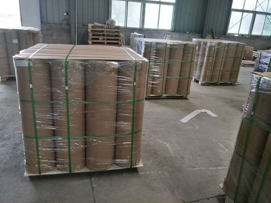6021 MILKY WHITE PET POLYESTER FILM FOR ELECTRICAL INSULATION